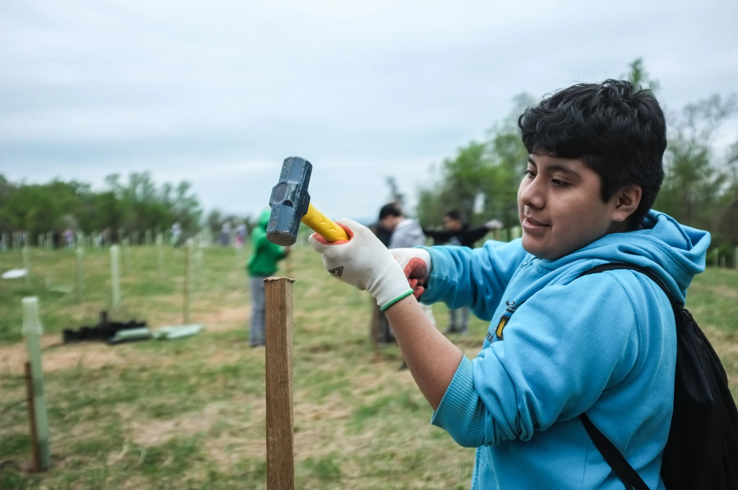 Tree Planting