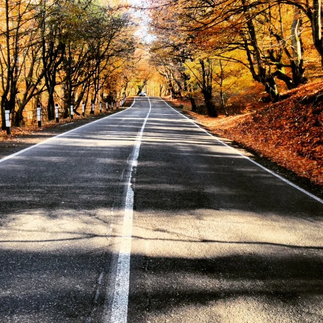 The roads in Georgia are a dream for cyclists