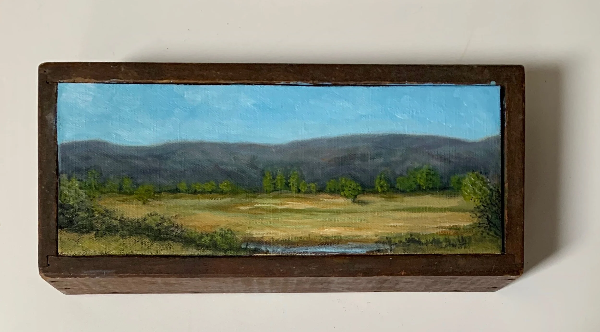 Landscape in a Box.jpeg