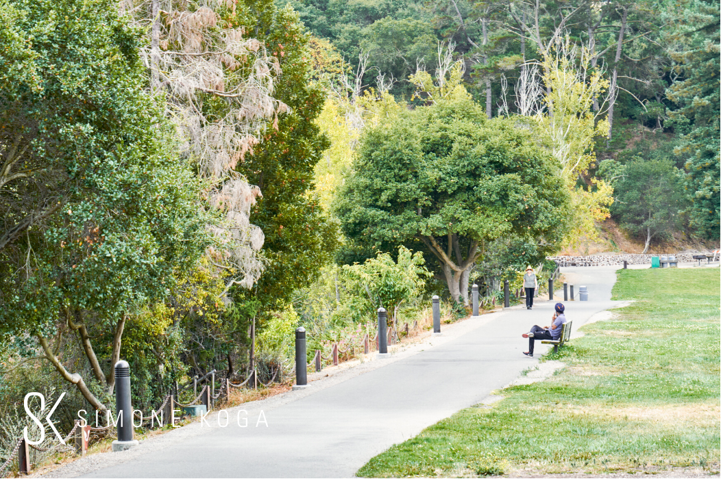 April 2020 East Bay Market Report