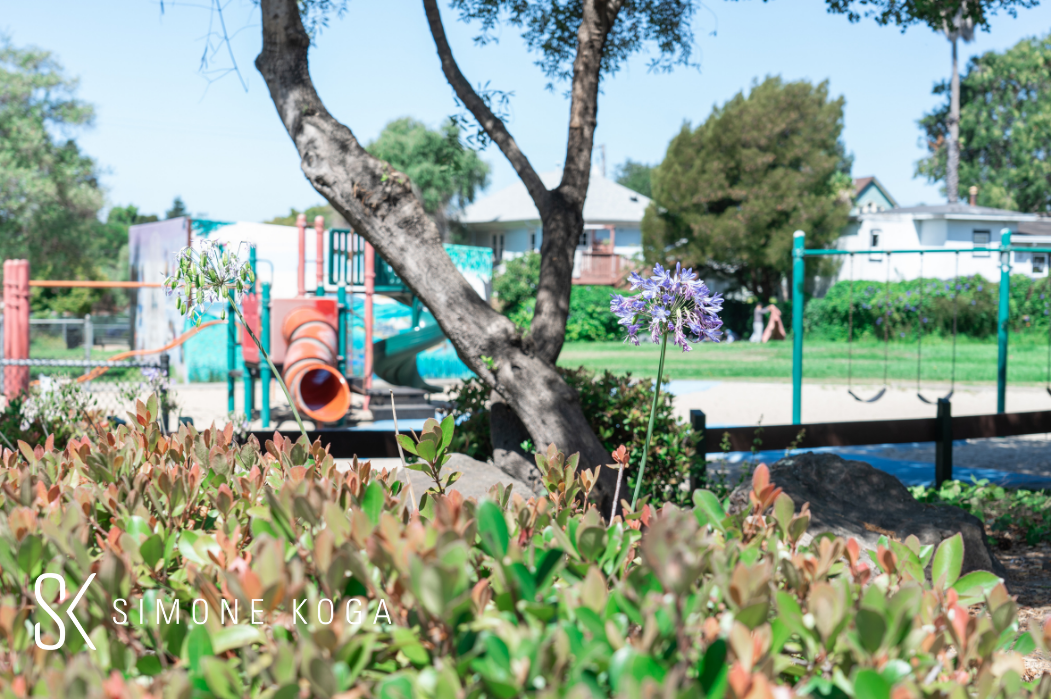 September 2020 East Bay Market Report