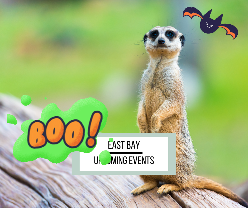 East Bay Weekly Events 