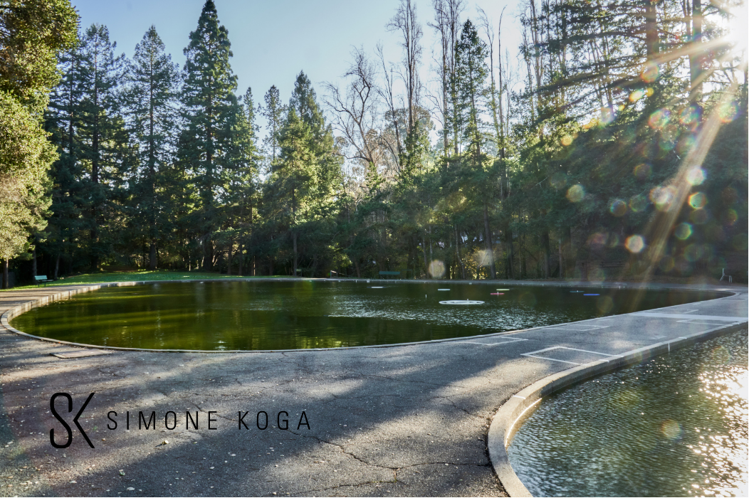 January 2021 East Bay Market Report