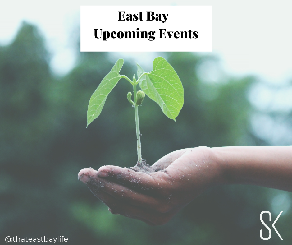 East Bay Weekly Events