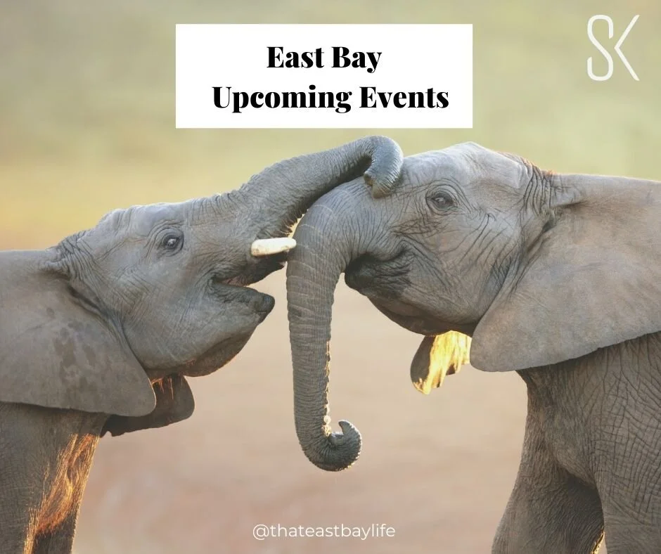 East Bay Weekly Events
