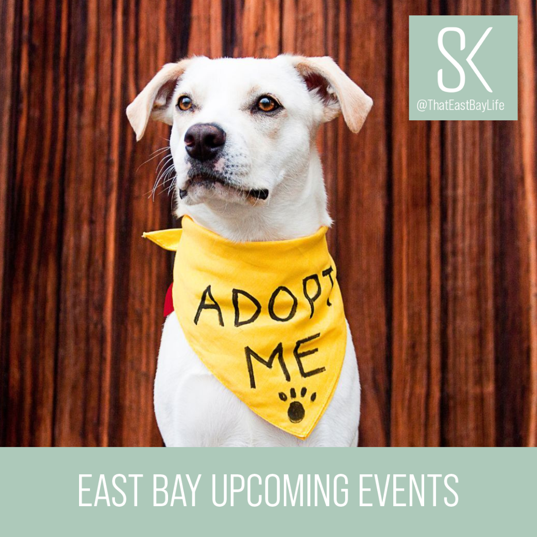 East Bay Weekly Events Simone Koga Realtor East Bay Weekly Events Simone Koga Realtor
