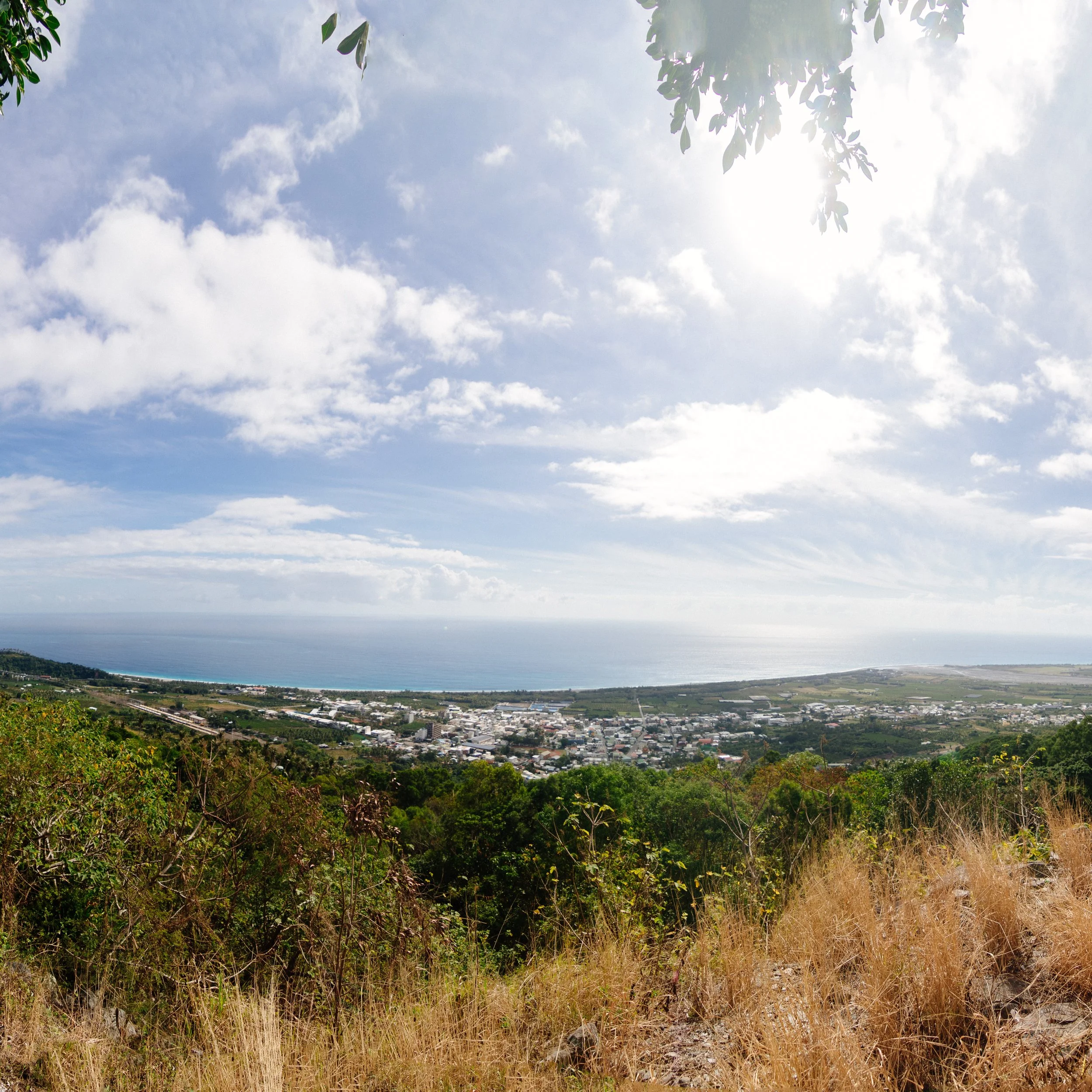 Jowell_7D2-20240202-0508-Pano-squashed.jpg