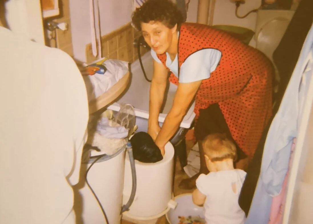 Grandma Zofia’s Polish Wild Mushroom Soup from Alicja Specjalna