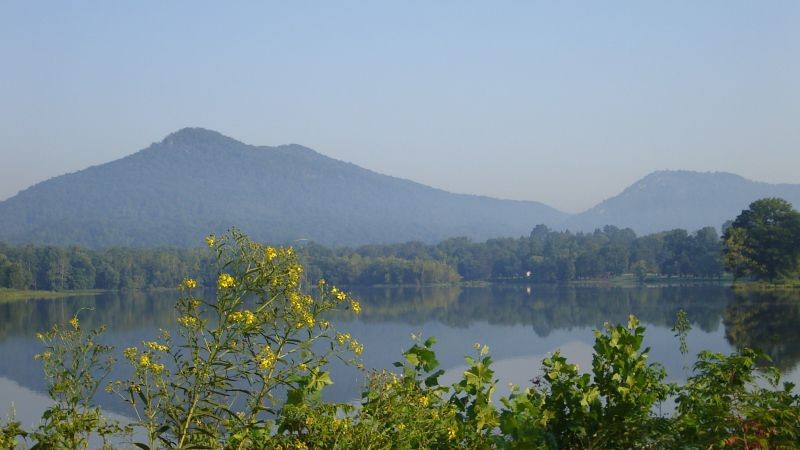 COVE LAKE STATE PARK Caryville, TN Cove Lake’s 717 acres are situated in a beautiful mountain valley on the eastern edge of the Cumberland Plateau. Scenic nature trails lead through a diversity of wetlands and woodlands offering wildlife viewing for the nature enthusiast.