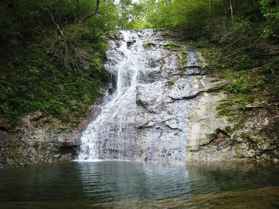Elrod Falls HWY 31, Elrod Falls Rd. Sneedville, TN 37869 423-733-4341 Amazingly one of the most beautiful and accessible water wonders in East Tennessee remains a somewhat secluded area still waiting for people to discover it. Once you go, you will not only know why this is a must see; you will also know why not many people have found it. Nonprofit Member