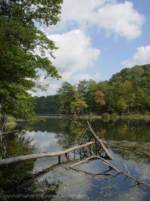 Chenoa Lake Bell County, KY