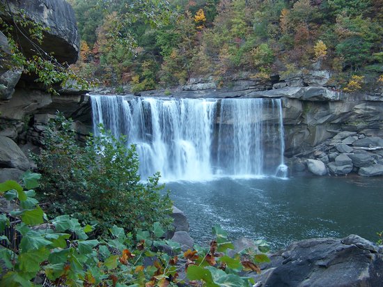 Cumberland Falls 7351 Hwy 90, Corbin, KY 40701 (606) 528-4121 Known as the "Niagara of the South," our most visited wonder, Cumberland Falls, is a 125 feet wide waterfall which plunges into a scenic, boulder strewn gorge. Imagine standing on a cliff, just feet from where the Cumberland River pours over a 90 feet drop; while standing on a platform at the base of the falls, crashing water sprinkles your face with a fine mist; and from the Eagle Falls Trail, overlooks high in the mountains provide breathtaking views and incomparable photo opportunities. Nonprofit Member http://parks.ky.gov/parks/resortparks/cumberland-falls/