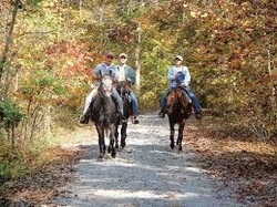 Bill's Riding Stables Corbin, KY