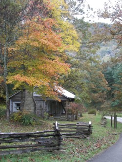 Pine Mountain Settlement School Pine Mountain Settlement School is located in the mountains of Appalachia in Southeastern Kentucky. It was an early source of education for the mountain youth of the area, offering a hands-on approach to education that continues to be a model for today's schools. 36 Highway 510, Pine Mountain, KY 40810 606-558-3571 or 3542 http://www.pinemountainsettlementschool.com/