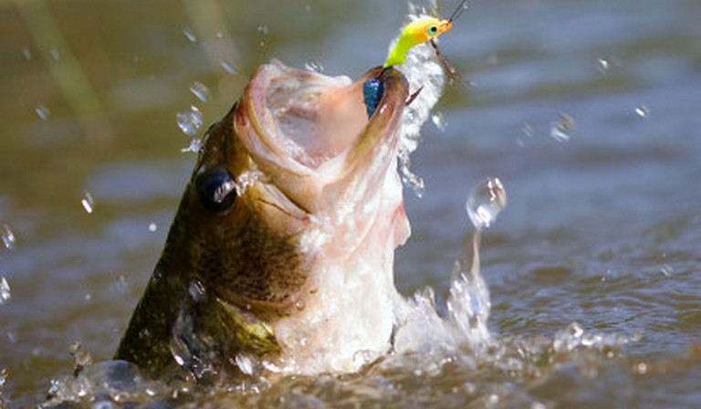 Fishing Tournament Brogan's Hollow Norris Lake First Place - $1,000 All fishermen must be registered before 7 pm and attend the meeting at Pump Springs Baptist Church on Friday, April 21st at 7 pm in order to compete. Food and registration will begin at 5:30 pm. Launch numbers will be drawn at random, not in registration order. Pump Springs Baptist Church, 225 Pump Springs Rd, Harrogate TN 37752, 423-869-8323
