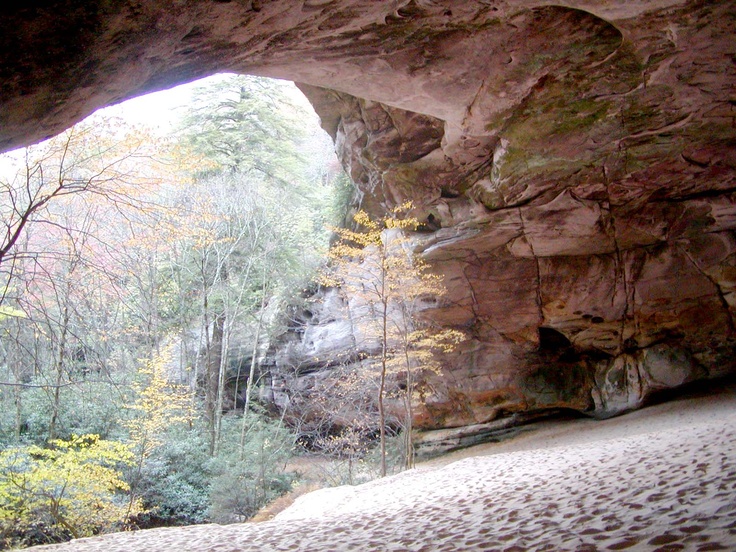 Tucked away in the Cumberland Gap National Park, hikers and horseback riders will discover a ceiling of gold, red and green, eroded rock forms and photo ops to cherish. Access to this gem of a find is through Thomas Walker Civic Park in Ewing, Virginia. A 3.9 mile hike brings the visitor to the entrance of this natural wonder. Continuing along this trail, leads to White Rocks (5.2 miles) where hikers and equestrians can view three states, Virginia, Kentucky, and Tennessee from the lookout atop the formation. It will not be a view soon forgotten! Yes, horses are welcome on this trail and there is ample trailer parking at the trailhead.