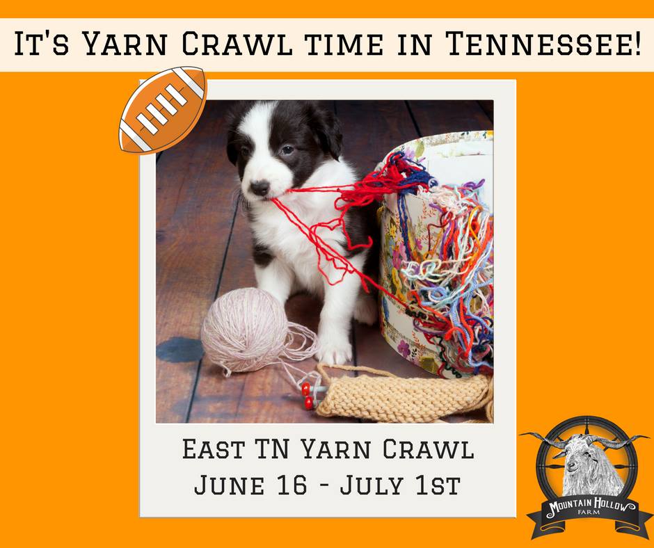 Mountain Hollow Farm 553 Vancel Rd, Tazewell, Tennessee 37879