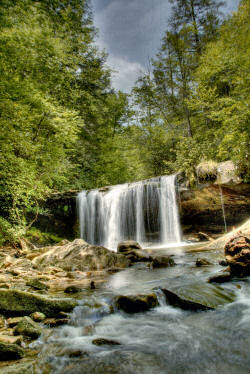 Martin's Fork Wildlife Management Area and State Natural Area Martin's Fork Wildlife Management Area and State Natural Area protects Martin's Fork, a scenic high-quality mountain stream that originates in the higher elevations of Cumberland Gap National Historical Park in Bell County, Kentucky. Martin's Fork and its watershed constitute a significant natural resource for Kentucky. Nine plants and three animals listed by the commission as endangered, threatened or special concern are known from the property. The property protects six natural community types and one new state record insect. http://www.harlancountytrails.com/martinsforkwma.php