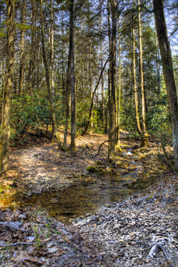 Cranks Creek and Stone Mountain Wildlife Management Area Drawing the border between Kentucky and Virginia, Stone Mountain is home to Cranks Creek Wildlife Management Area and Stone Mountain Wildlife Management Area and State Natural Area. Mountainous, extremely steep terrain with long, deep hollows, heavily forested, primarily in hardwoods. No camping. Includes the unique wagon road, a hand-built road and tunnel that allowed those living on the Cranks Creek side of Stone Mountain access the railroad line on the Virginia side. http://www.harlancountytrails.com/crankscreekwma.php