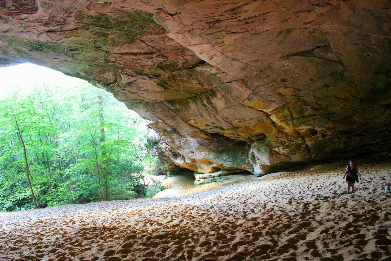 Friends of Wilderness Road State Park 8051 Wilderness Rd, Ewing, Virginia 24248