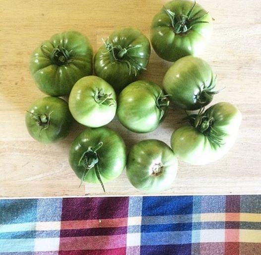 , 2520 Jacksboro Pike, Jacksboro, Tennessee 37757 Season opening for the Campbell County Farmers' Market will take place this Saturday, May 6th from 8am-2pm at the Tractor Supply Parking Lot. Come out and enjoy produce, handmade items and more from our vendors!