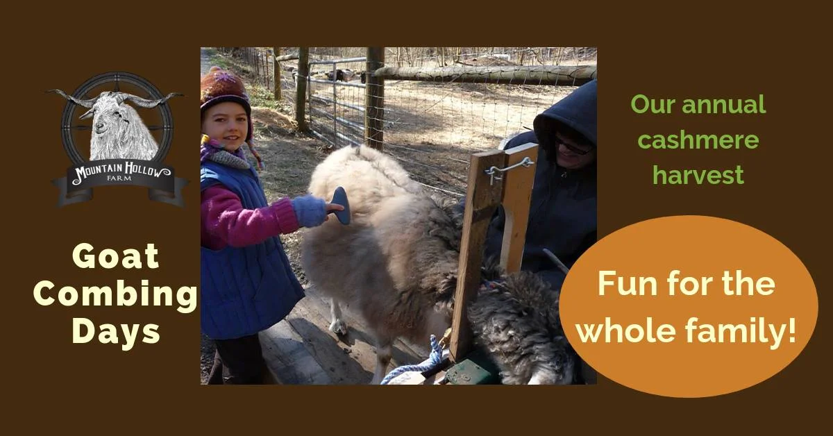 Mountain Hollow Farm 553 Vancel Rd, Tazewell, Tennessee 37879