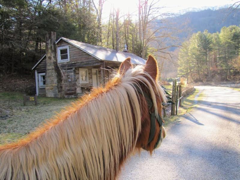 Pine Mountain Settlement School https://www.pinemountainsettlementschool.com/events/