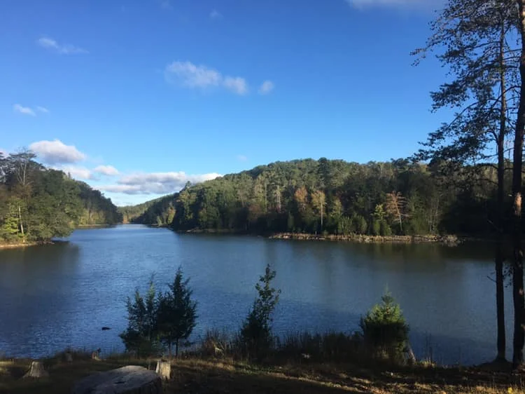 Big Ridge State Park Phone: (865) 992-5523 1015 Big Ridge Park Road Maynardville, TN 37807