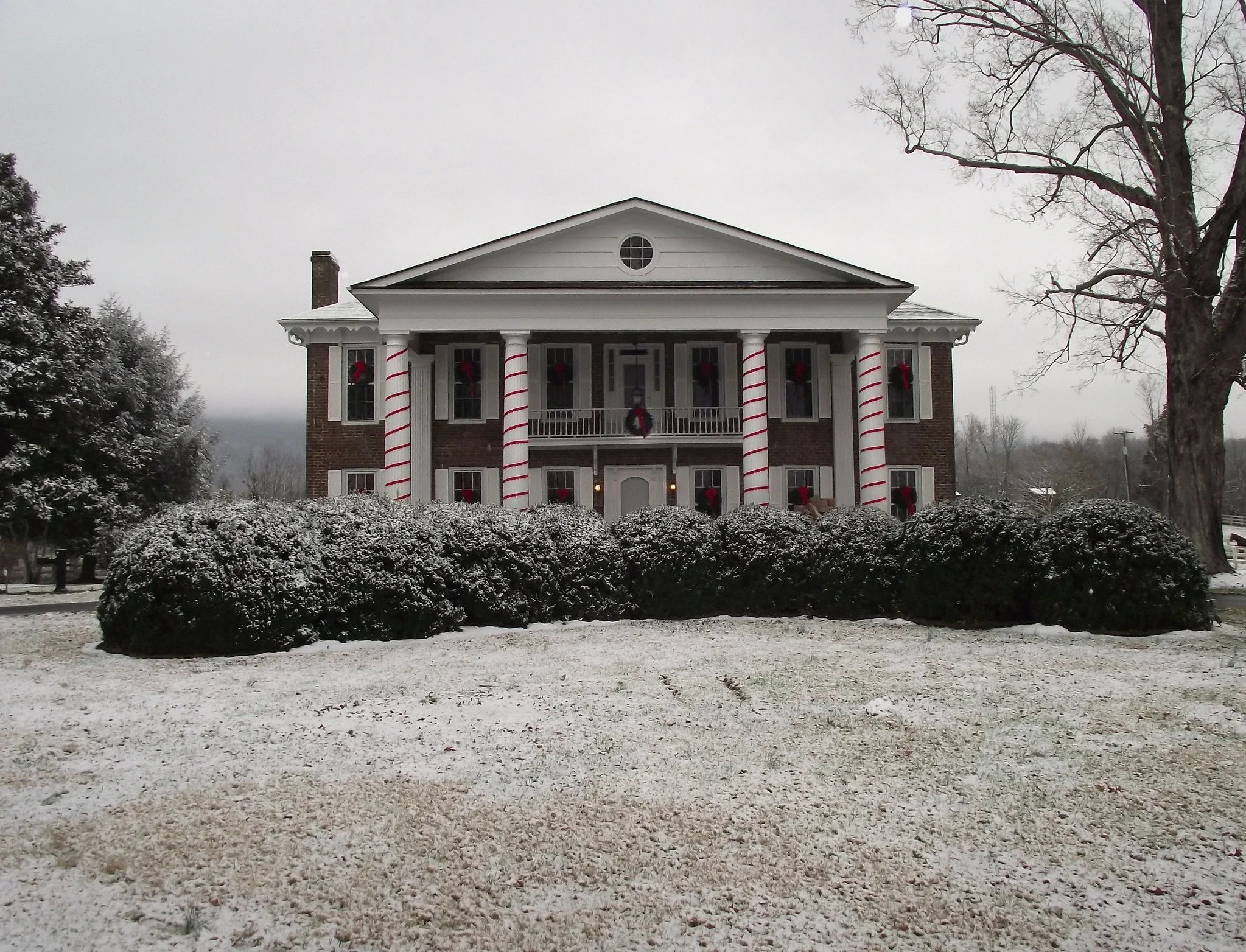 Karlan Christmas Parade of Trees 
