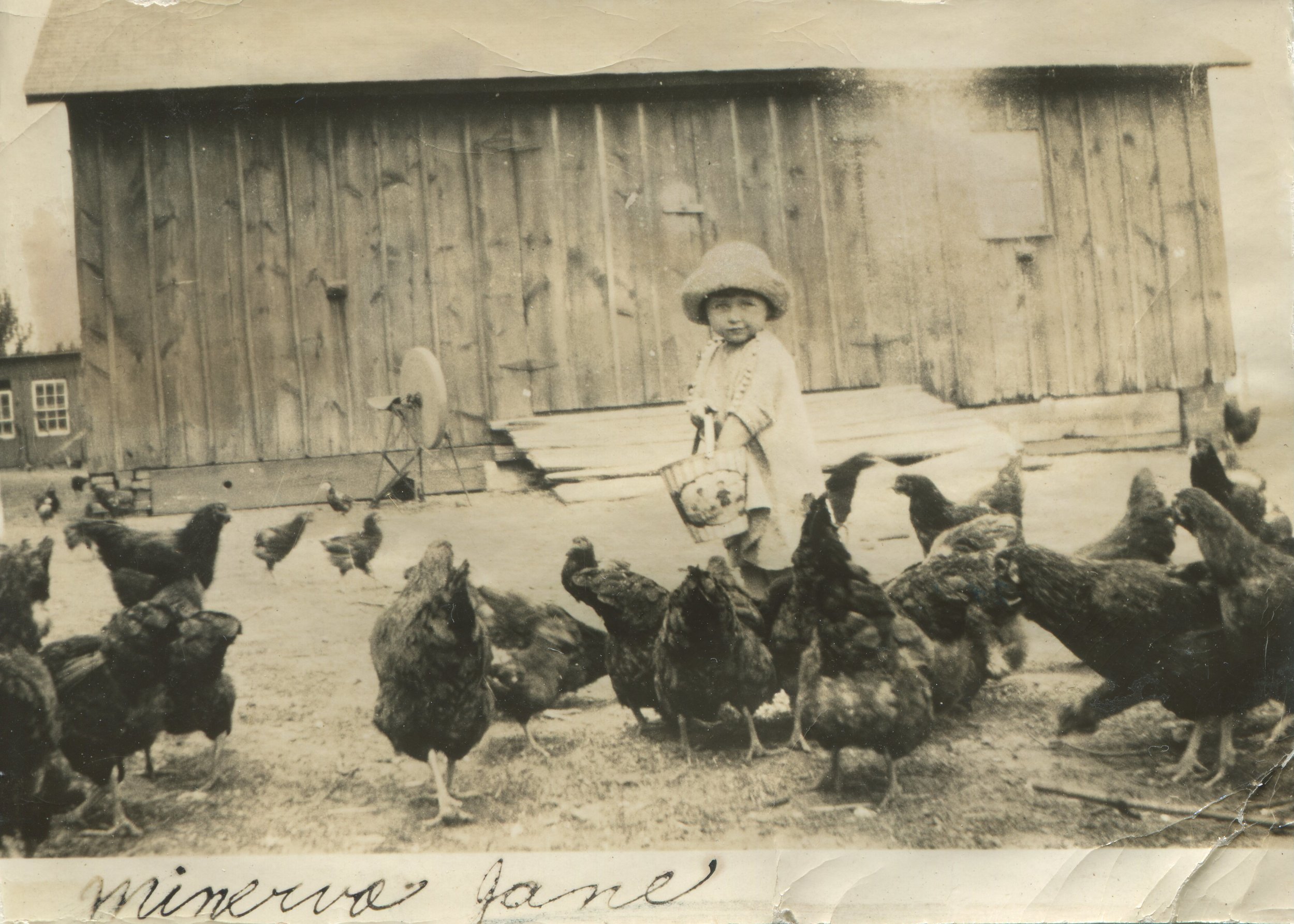 Grandma Reeb - Chickens.jpg