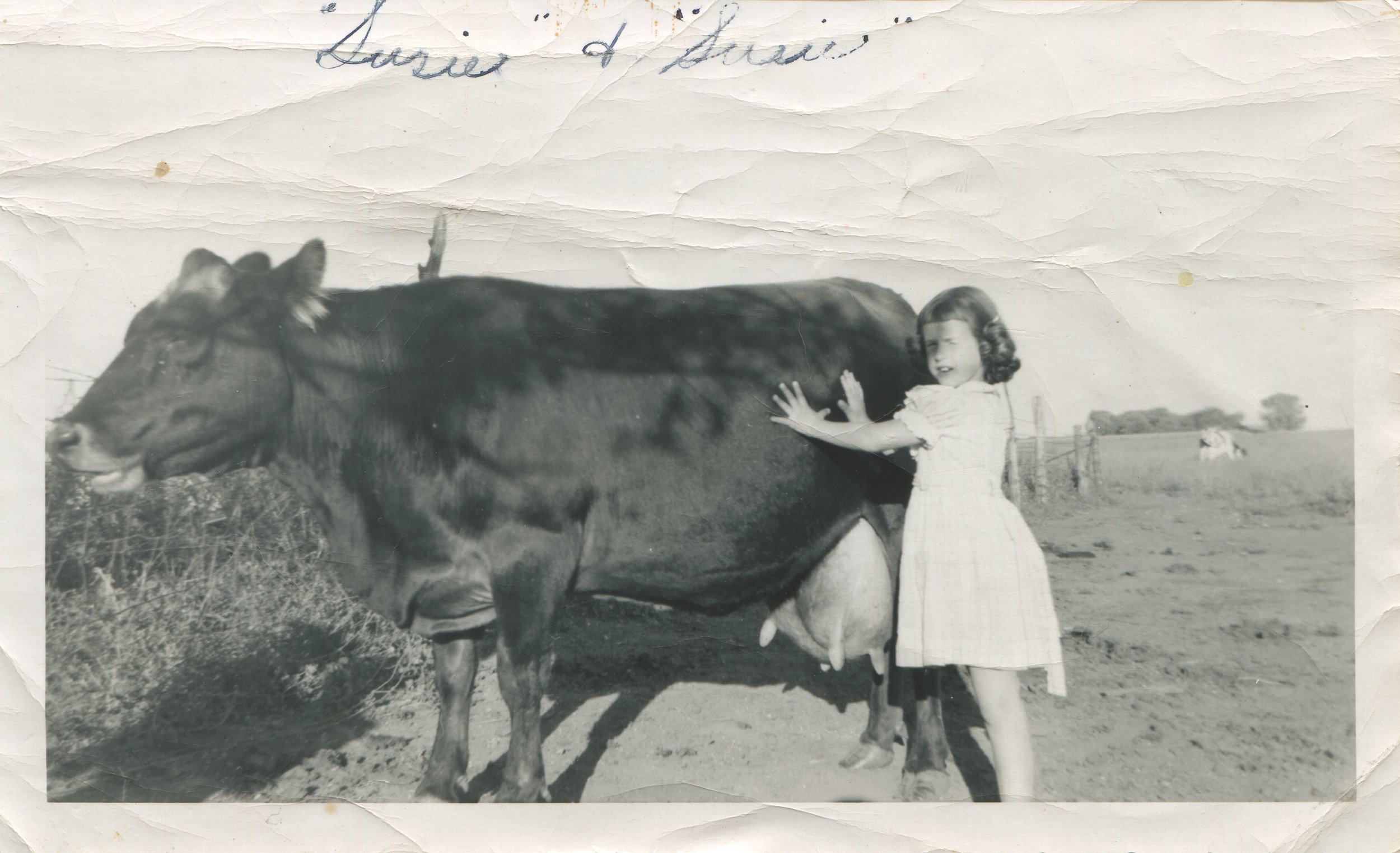 Mom & Susie the Cow - 1957.jpg