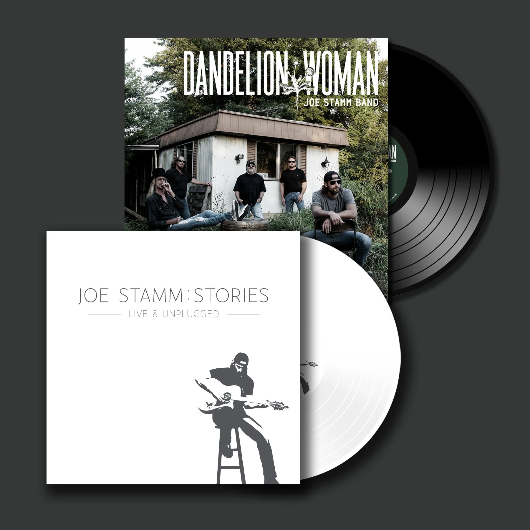 Stories & DW Vinyl Bundle.jpg