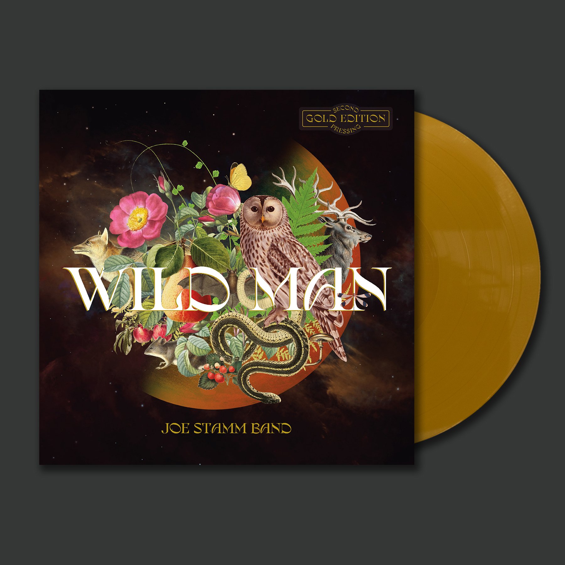 Wild Man Second Pressing - Metallic Gold.jpg