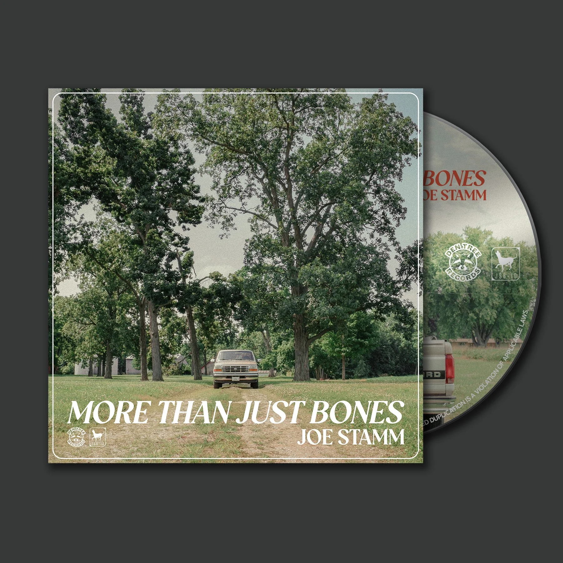 More Than Just Bones CD.jpg