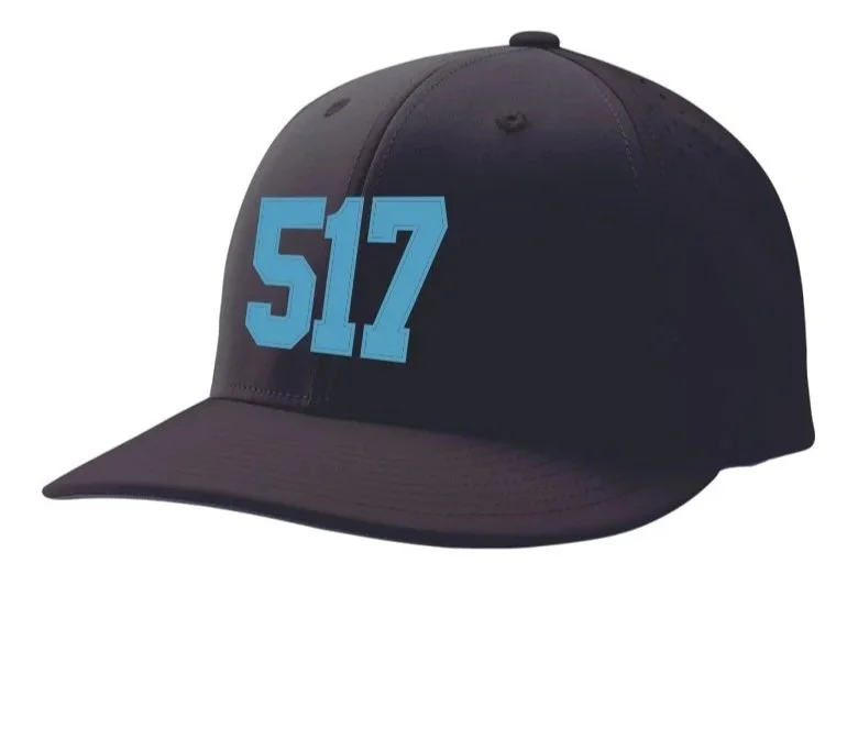 517+Champro+Fitted+Hat.jpg