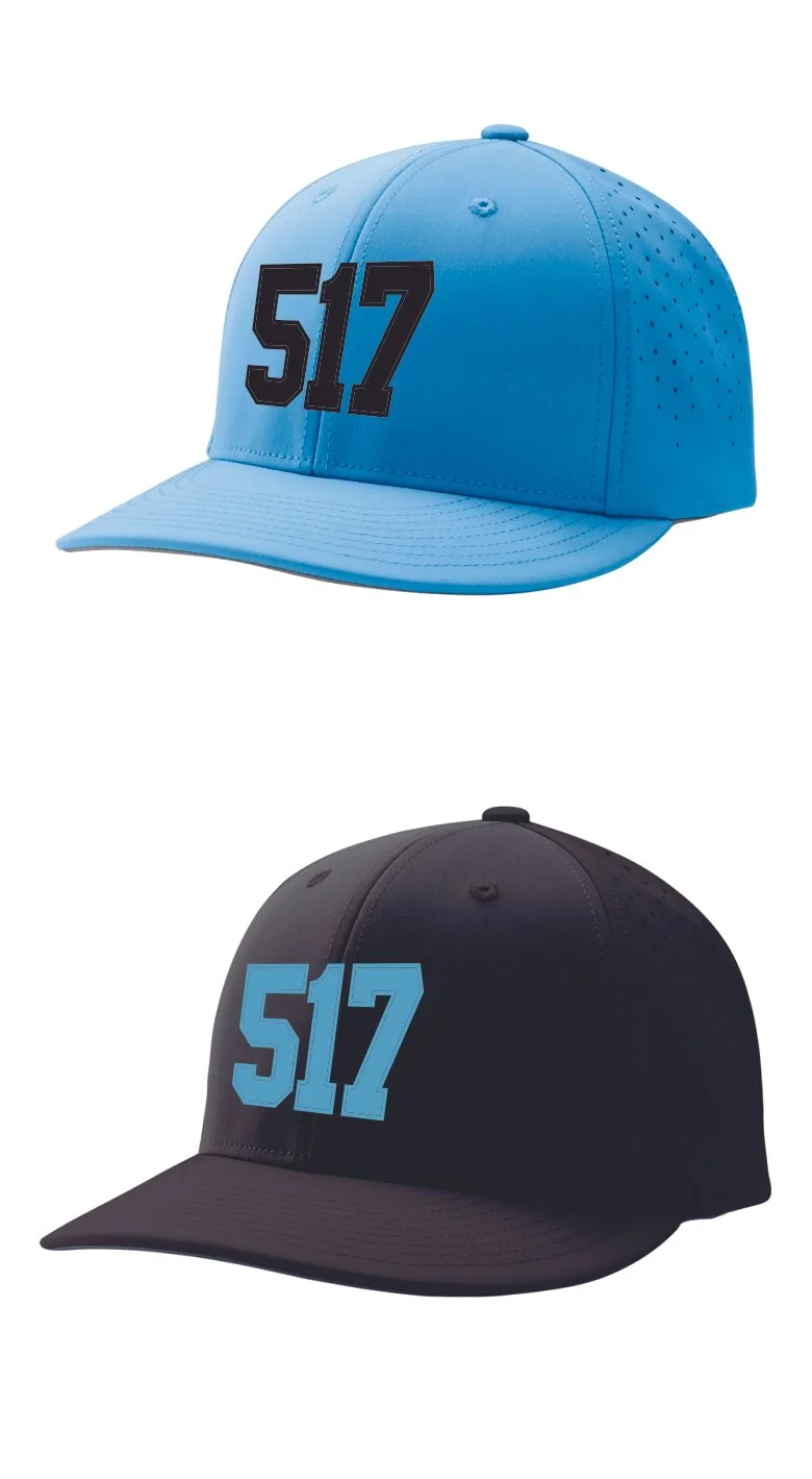 517 Champro Fitted Hat.jpg