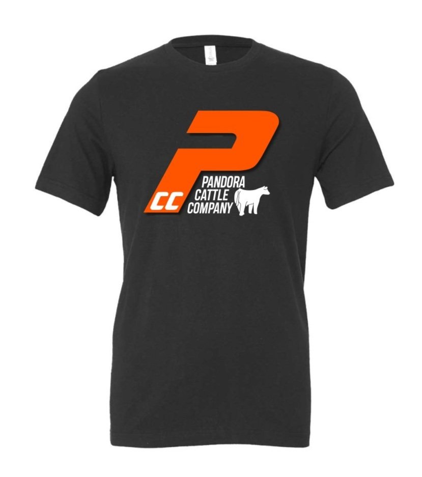 B%2BC+T-SHIRT.jpg