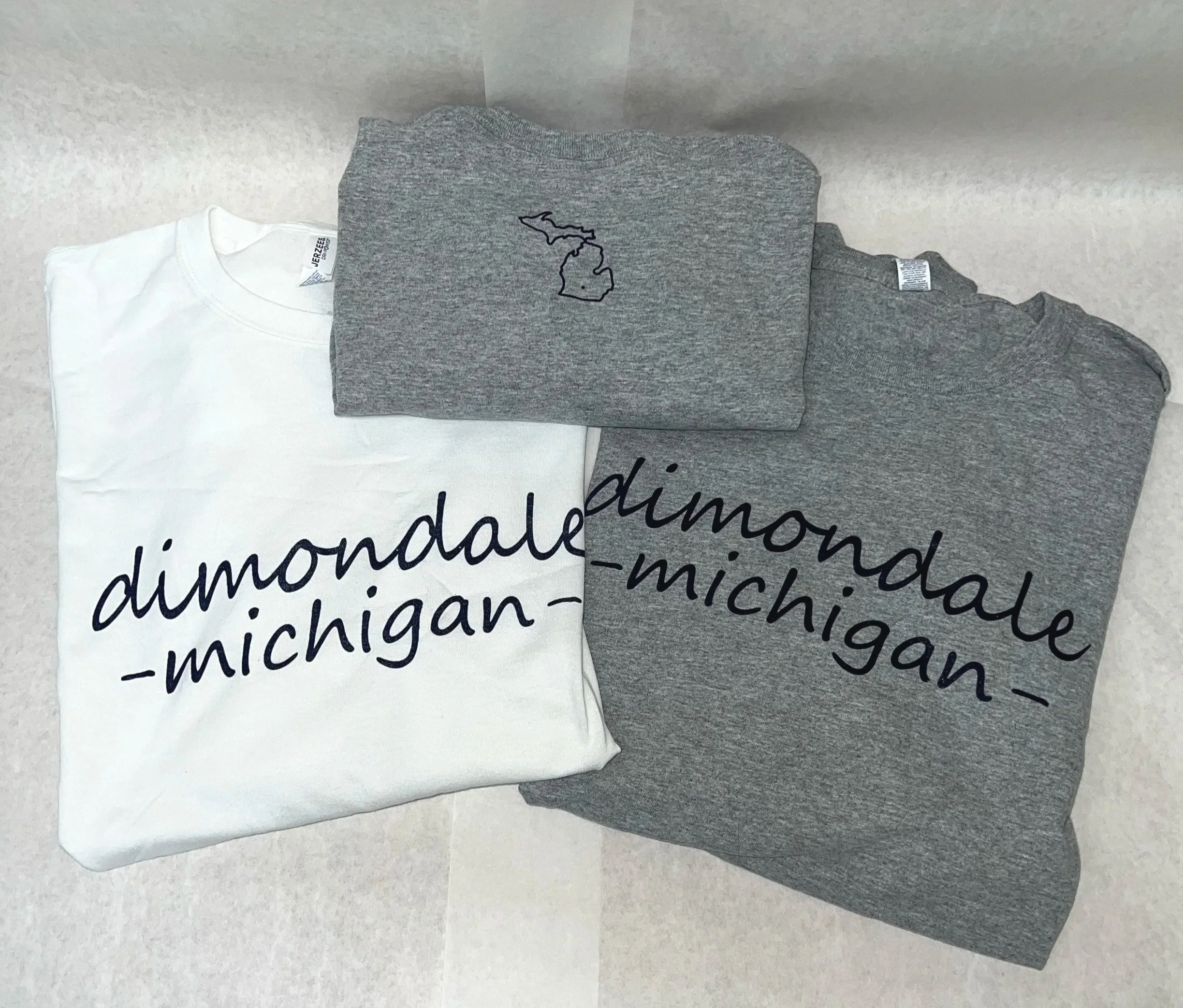 Diamondale Michigan  Long Sleeve T-Shirts