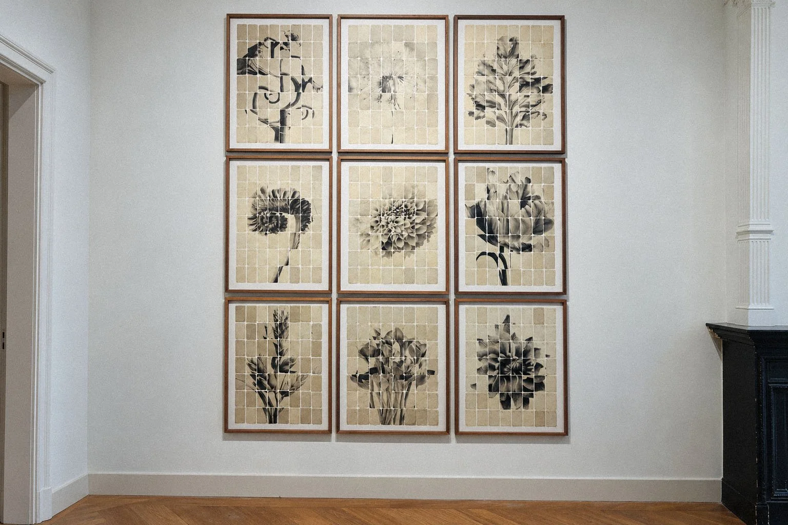 Nine Botanical Cards, Quiet Gallery View-11 copy.jpg