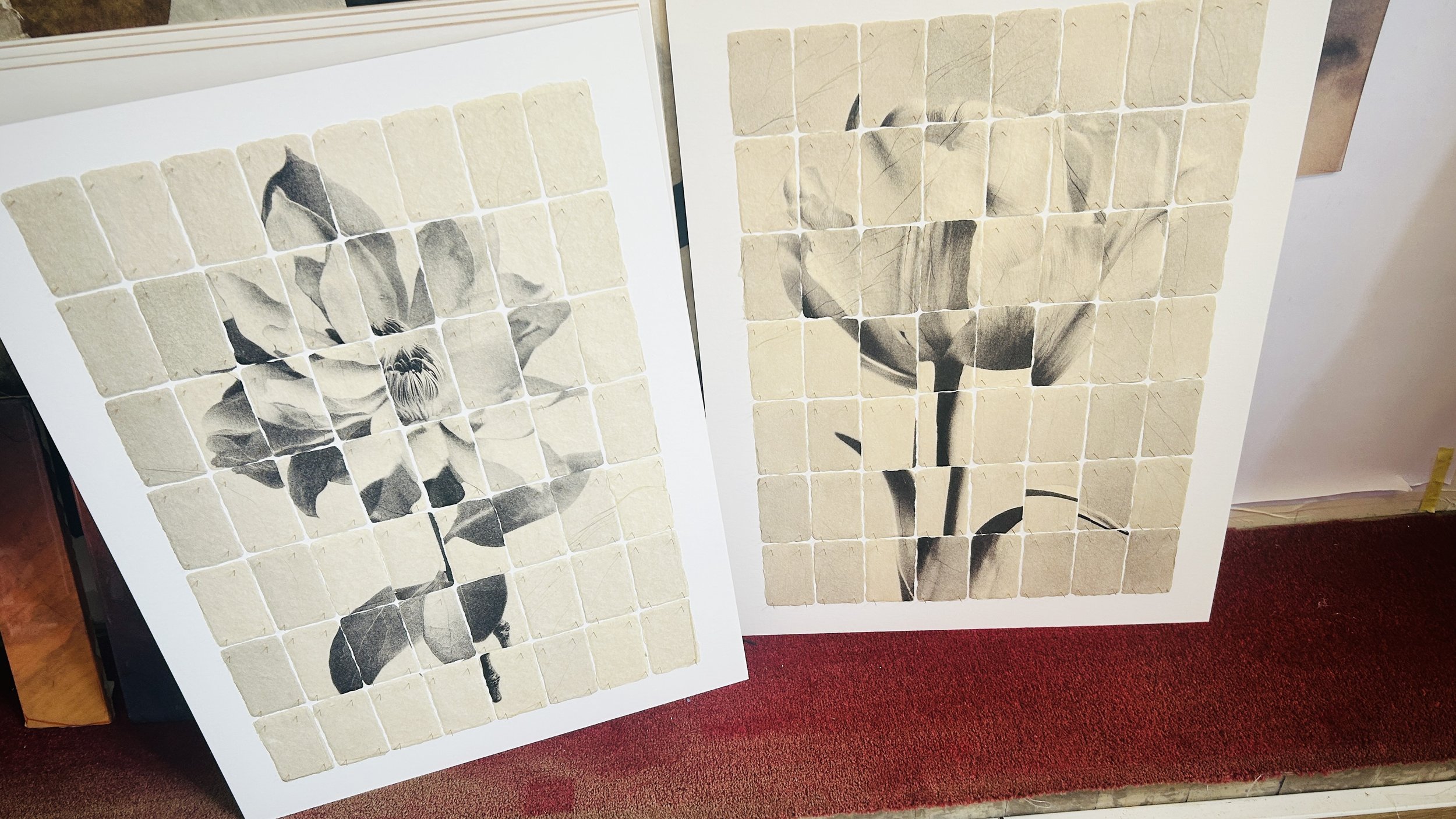 Two monochrome flower compositions assembled from grids of photographic cards, leaning against a studio wall.