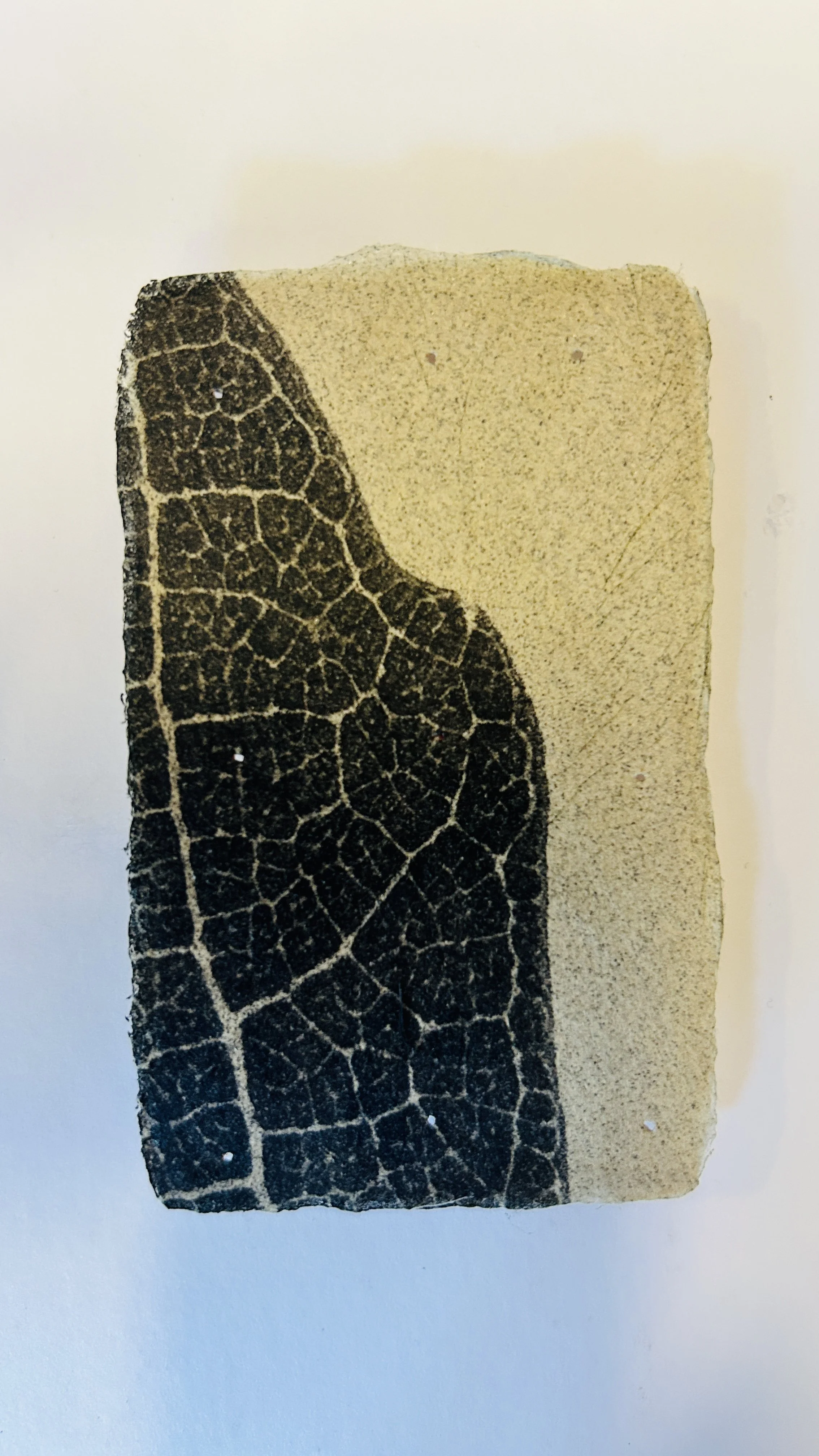 A single rough-edged photographic card with a dark, cracked pattern, pinned to a white wall.