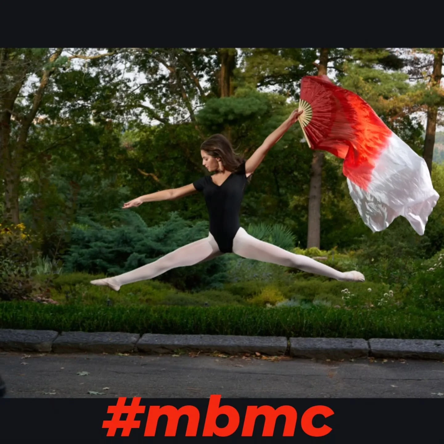 Find your fire 🪭

#balletclass #balletlife #balletphotography #dancephotograpy #takealeap #girlonfire #ballet #mbmc #balletime #centralparkphotography #balleteverywhere #balletclasses  #ballerina #dancerlife #drama