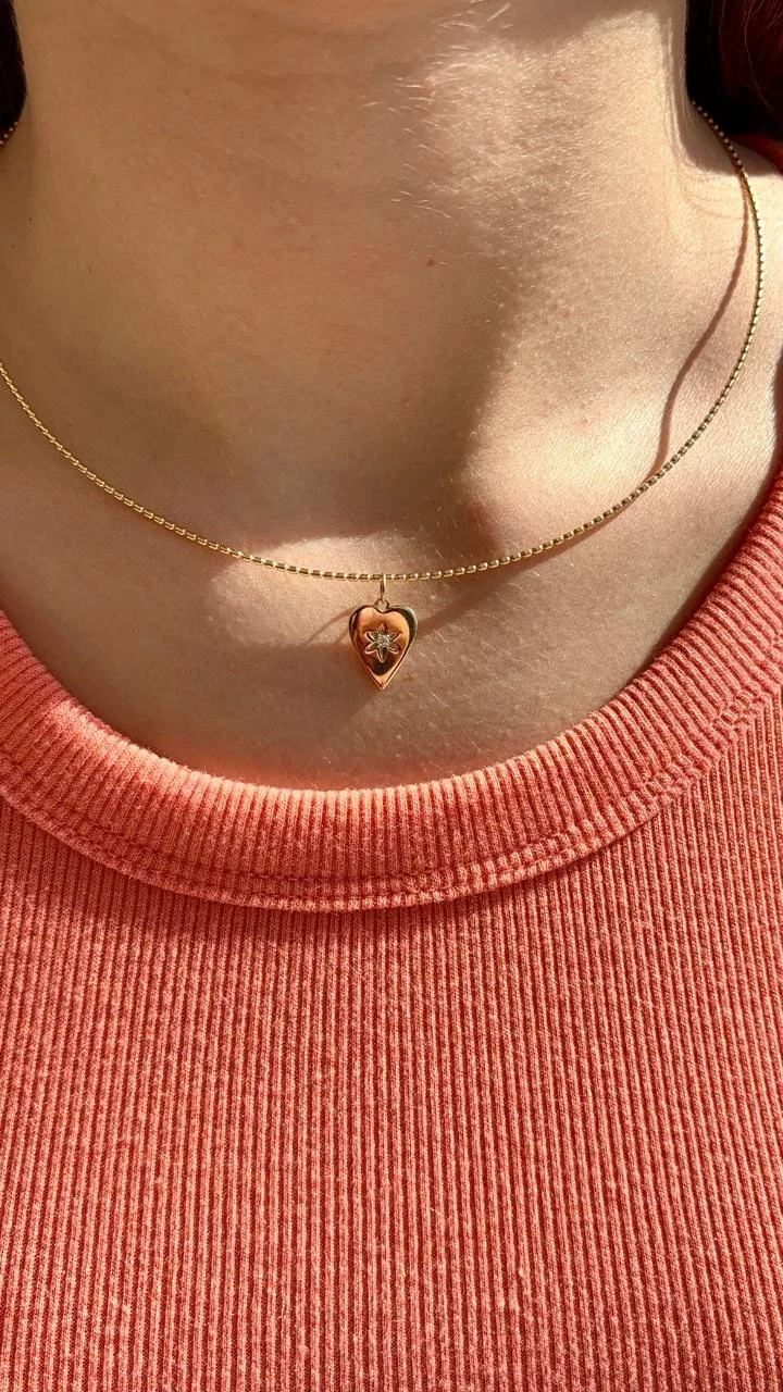 WhatsApp Image 2026-01-26 at 3.37.28 PM.jpeg