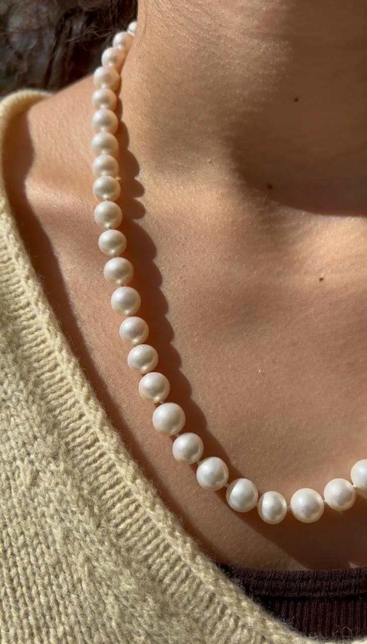 WhatsApp Image 2025-12-08 at 17.39.39_8be36054.jpg