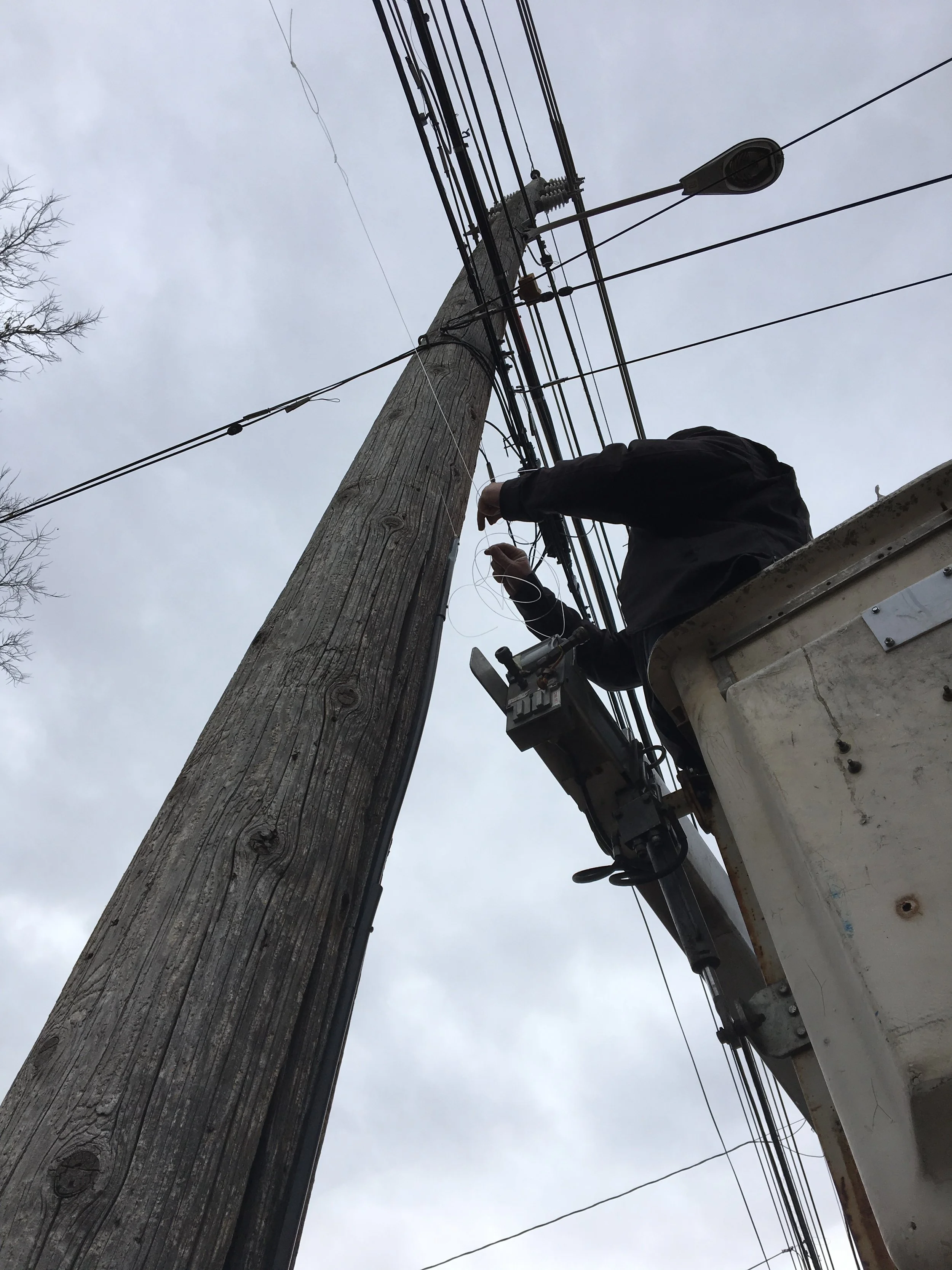 The Eruv is Up: Parshat Terumah (03/03/17)