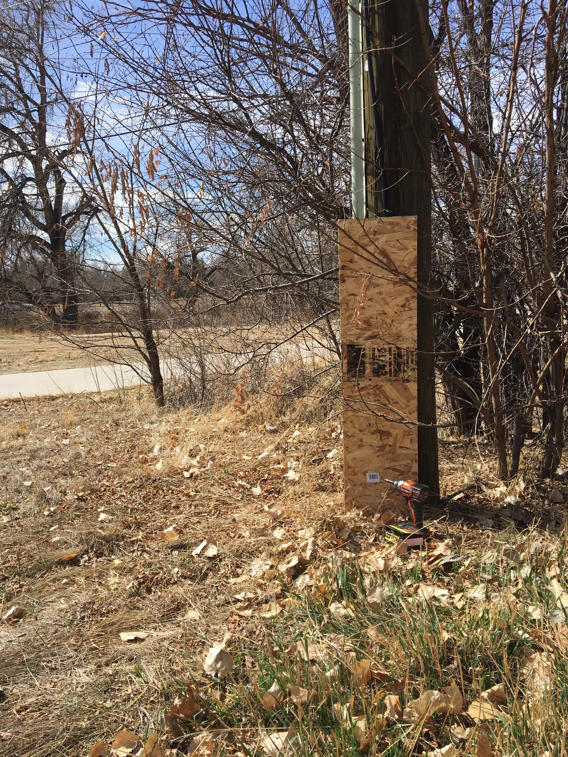 The Eruv is Up: Parshat Ki Tisa (03/17/17)