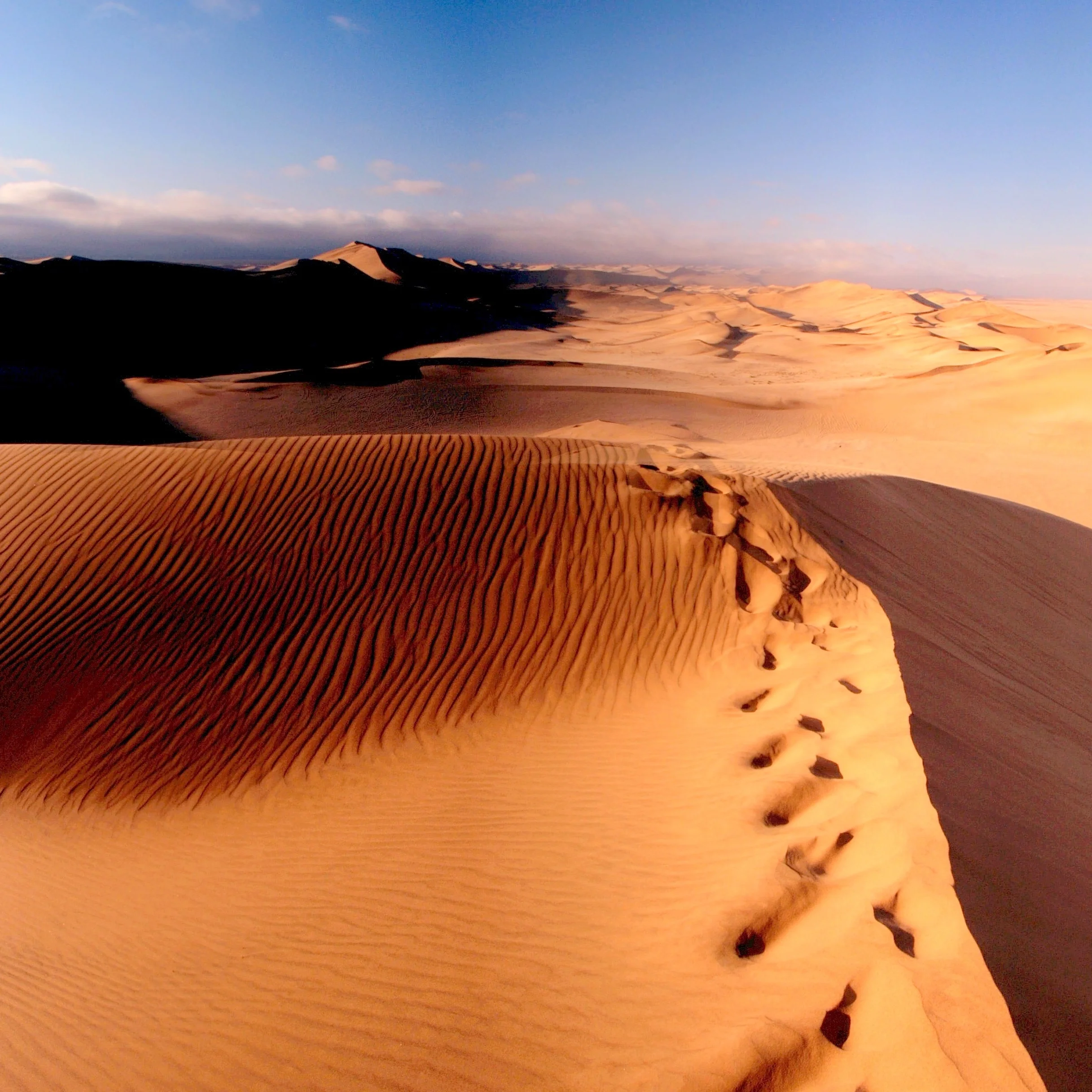 The Eruv is Up: Parashat Matot-Masei (07/22/17)