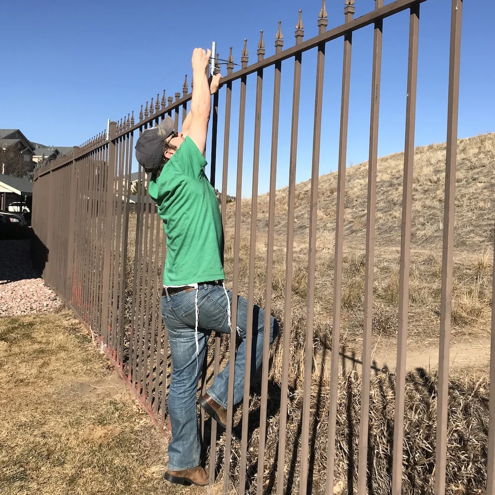 The Eruv is Up: Parashat Vaera (01/12/18)