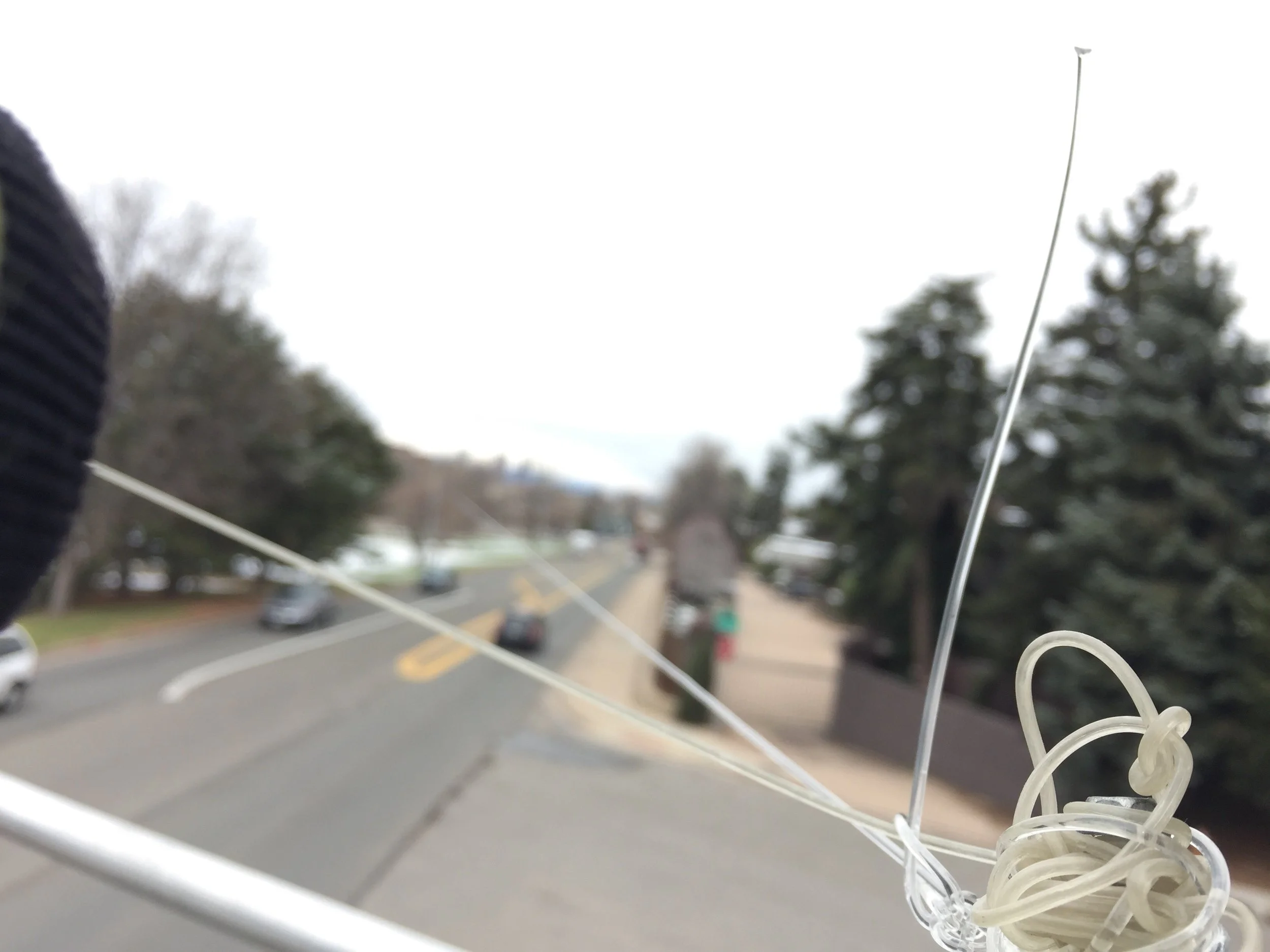 The Eruv is Up: Parashat Shemini (04/14/18)