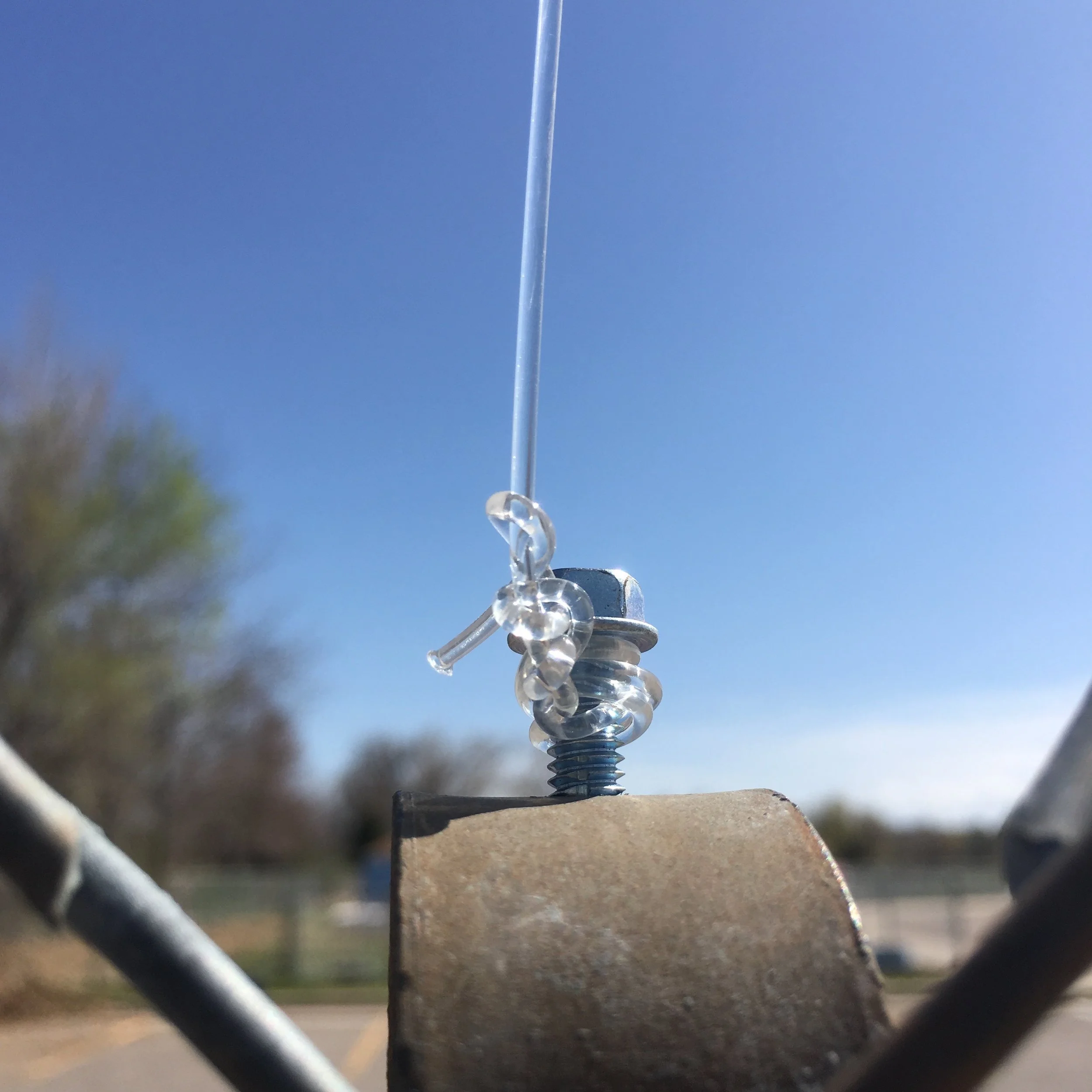 The Eruv is Up: Parshiyot Acharei Mot-Kedoshim (04/28/18)
